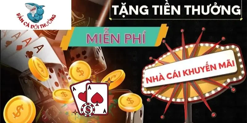 điều khoản và điều kiện khi đăng ký
