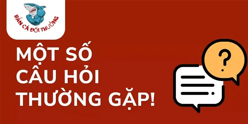 Một số câu hỏi hay gặp về chúng tôi
